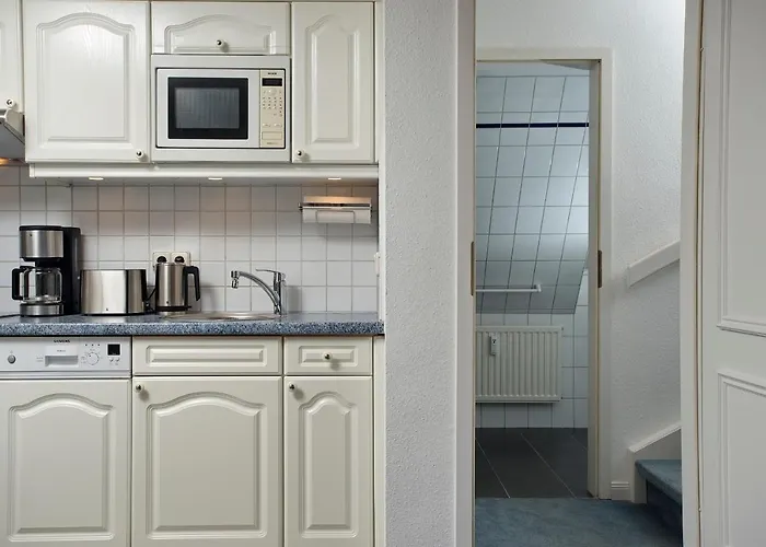 Witt Hingst App 10 *